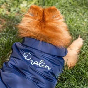 broderie doudoune chien